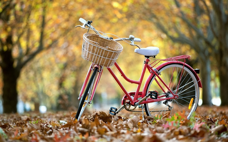 велосипед напрокат в Харькове